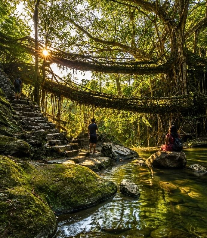 Kaziranga National Park – Shillong – Cherrapunji – Guwahati