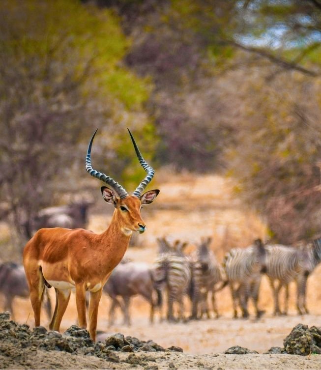 Kenya