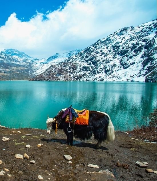 Gangtok –Lachen – Lachung – Pelling – Darjeeling